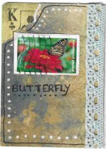 APC Butterfly 1.jpg