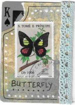 APC Butterfly 4.jpg