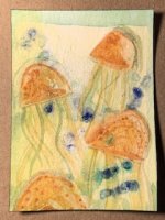 IMG_3558.jpeg
