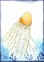 1_Jellyfish-3.jpg