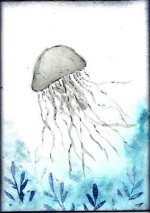 1_Jellyfish-1.jpg