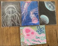 6CA02333-16BB-4781-935C-9570DA656DA0.jpg