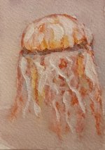 0710 jellyfish 02 IMG-2806.jpg