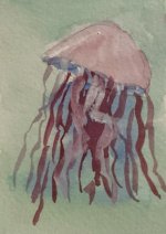 0710 jellyfish 03 IMG-2807.jpg