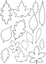 leaf+template.jpg