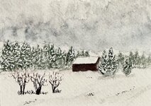 IMG_1868.jpeg