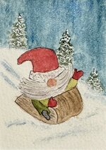 IMG_1869.jpeg