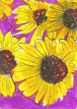 0825 Sunflower 01_20240825_0001.jpg