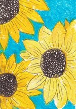 0825 Sunflower 04_20240825_0001.jpg