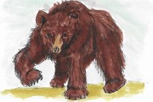 PapaBear.jpg