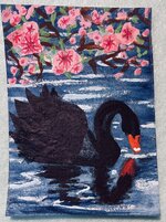 IMG_1213.jpeg