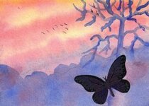 1010 Painted Sky_20241010_0001.jpg