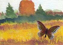 1010 Plein Air Painted Field and Butterfly_20241010_0001.jpg