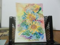 Sunflower 8.JPG