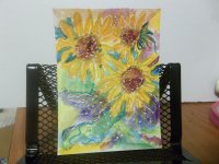 Sunflower 1.JPG