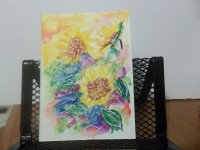 Sunflower 7.JPG
