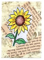 Just Another Sunflower Season # 2.jpg