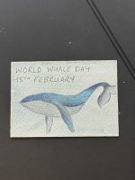 IMG_4567.jpeg