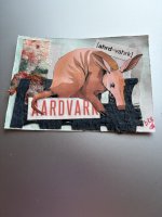 IMG_5427.jpeg
