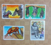 Animal Parade A B C.jpeg