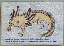 IMG_5282.jpeg