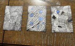 IMG_1106.jpeg