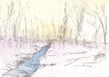 Early Morning Stream in Winter.jpg