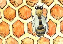 Bee 3.jpg