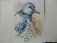 DOVE.JPG