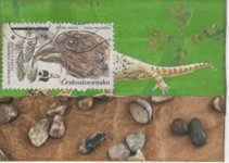 Namaqua Chameleon s.jpg