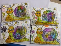 IMG_1206.jpeg