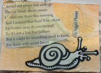 IMG_5504.jpeg