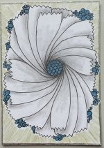 IMG_5548.jpeg