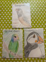 IMG_1601.jpeg