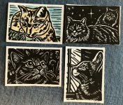 IMG_4199.jpeg