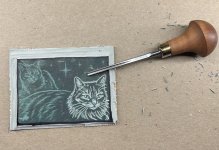 IMG_2316.jpeg