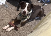 IMG_0318.jpeg
