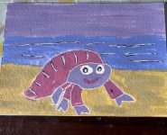 IMG_0336.jpeg