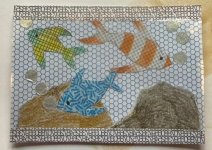 IMG_5903.jpeg
