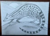 IMG_5996.jpeg
