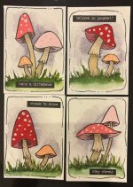 IMG_8615.jpeg