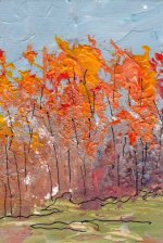 Colors of Autumn 3.jpg