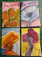 IMG_3053.jpeg