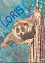 20260813_152907.jpg