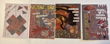 IMG_4917.jpeg