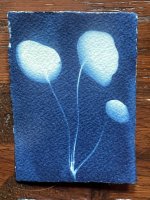 IMG_8408.jpeg