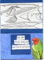 1485 September 2026 Prompts    Paroquet.jpg