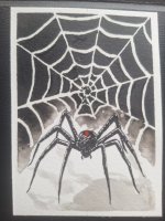 Black Widow.jpg