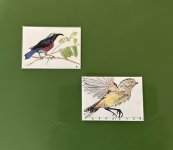 IMG_4279.jpeg