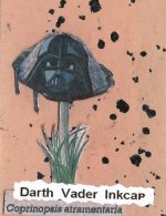 darthvader.jpg